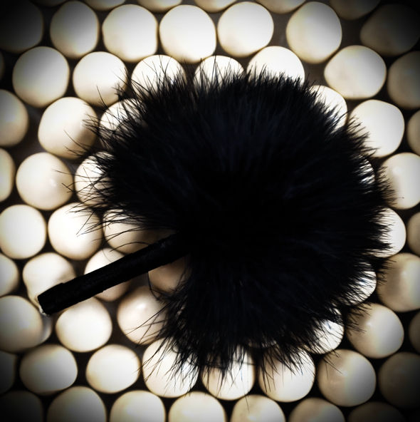 Acariciador de Plumas Preto Tickle me Tickler